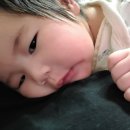 공릉길 이미지
