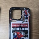 세이프존 | [케이스티파이] 스케이터 존(맥세이프 호환)사용후기