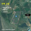 상동 태양광발전소 이미지