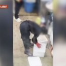 시장얼음 - 공주시 | 시장얼음