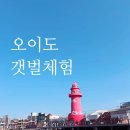 아이랑 오이도 갯벌체험 시간표 요금 주차 정보 총집합 오이도어촌체험마을 조개캐기