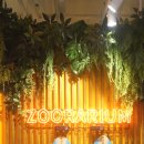 세븐일레븐 울산우정 TTM점 | 울산실내가볼만한곳 / 쥬라리움과 테라리움 방문 솔직후기.