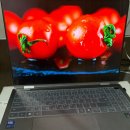 갤럭시북5 프로 360 실사용 후기 솔직 정리