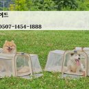 아워비전