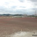 소래습지생태공원(전시관) 이미지