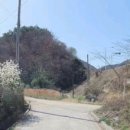 해운대삼성부동산중개 이미지