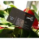 이지헤어샵 이미지