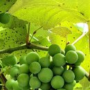 보네르공인중개사사무소 이미지