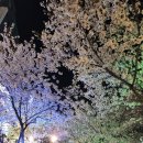 GS25 동소문제일점 이미지