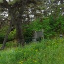 유동리 오층석탑 이미지