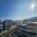 클린히트복싱 소사벌점 이미지