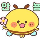 한마음헤어샵 이미지