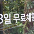 행복한인셀덤 - 유성구 | 행복한인셀덤