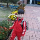 능주어린이집 이미지