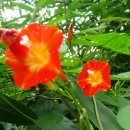 소사농원 이미지