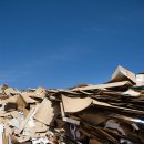 금성자원 이미지