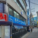 부산자갈치어시장 | 사당역횟집 사당역술집 단체모임장소 추천 해산물맛집 자갈치어시장 방문 후기