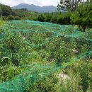 송암농원 이미지