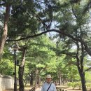 @경주(대릉원 천마총)26,07,20(신카니발)처, 이미지