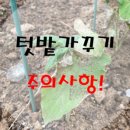 싹싹한모종가게 이미지