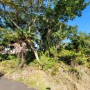 용지사거리 이미지