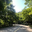 남산길 | [공지] 남산둘레길 트레일 러닝 후기: 주말 오전 러닝 training for 트레일마라톤
