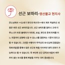 선근이네 이미지