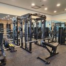 머슬원핏 이미지