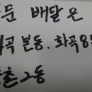 화도세탁소