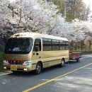 2013.4.4 (목) 섬진강변길과 쌍계사 벚꽃 라이딩~~ (날짜가4월8일에서- 4월4일로변경) 이미지