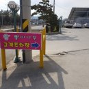 뽕이나무 이미지