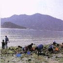 장승포여관 이미지