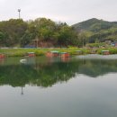 상록행정사사무소 이미지