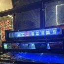 조아조아 | [아산맛집] 모종동 회식장소 추천 조개구이 맛집 조개조아 후기