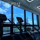 제스트핏 피티샵 이미지