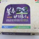 세일팜 이미지