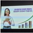 큐사랑염색두피탈모