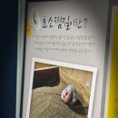 금화에너지 이미지