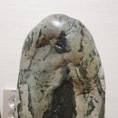 일광칼라 이미지
