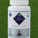 푸엘라스토어