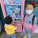 뽑기하고 갈래 이미지