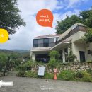 구소석길 | 양산 구소석마을 능소화 지금 개화 상황! 사진 찍기 좋은 숨은 포토존 주차 위치