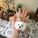 WITHPET