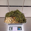 재진한의원 이미지