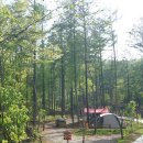 치유의 숲 야영장 이미지