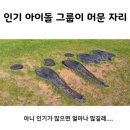 동상앵글