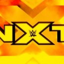 (주)스톰라이즈 이미지