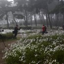 미와향기