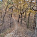 월평 사이클장 이미지