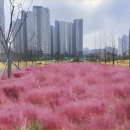 능수버들공원 이미지